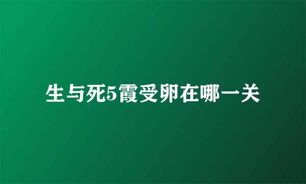 生与死5霞受卵在哪一关
