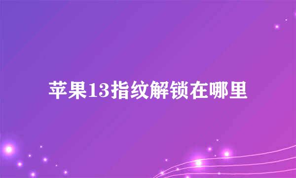 苹果13指纹解锁在哪里