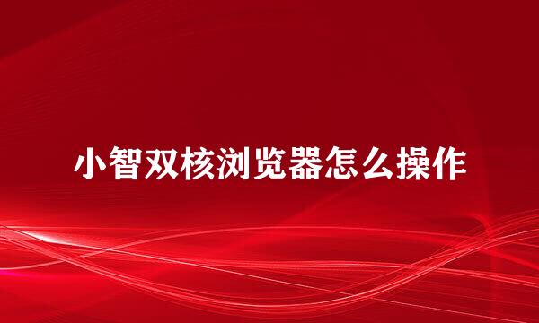 小智双核浏览器怎么操作