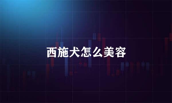西施犬怎么美容