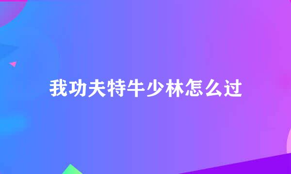 我功夫特牛少林怎么过