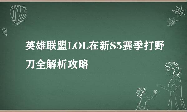英雄联盟LOL在新S5赛季打野刀全解析攻略