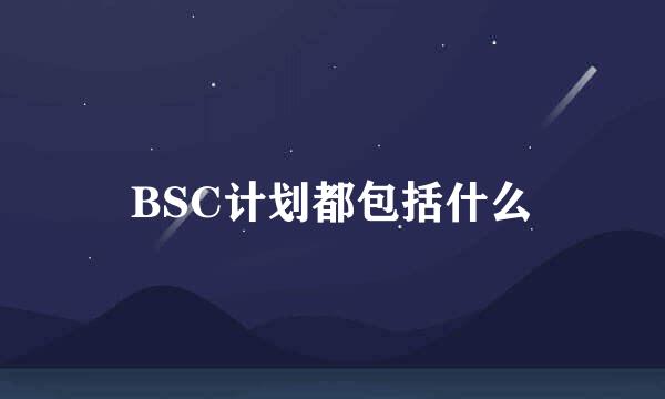 BSC计划都包括什么