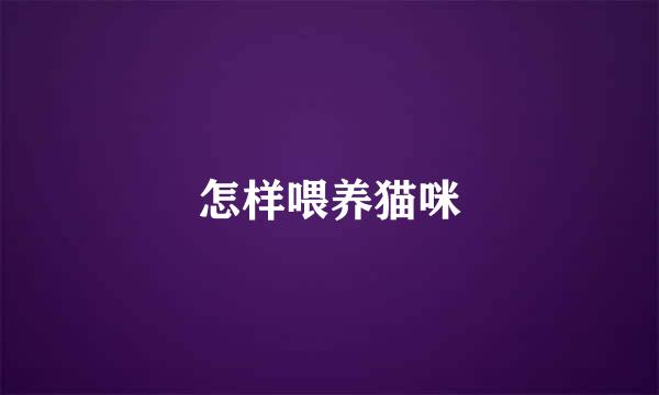 怎样喂养猫咪