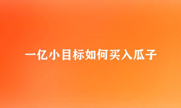 一亿小目标如何买入瓜子