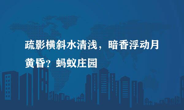 疏影横斜水清浅，暗香浮动月黄昏？蚂蚁庄园