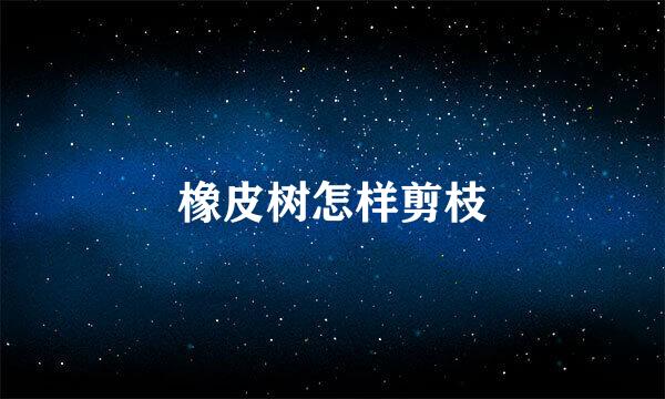 橡皮树怎样剪枝