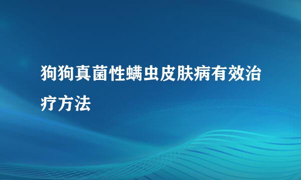 狗狗真菌性螨虫皮肤病有效治疗方法