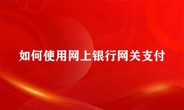 如何使用网上银行网关支付