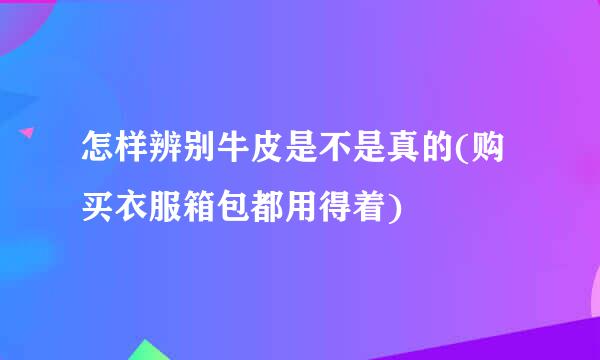 怎样辨别牛皮是不是真的(购买衣服箱包都用得着)