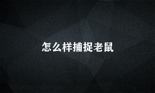 怎么样捕捉老鼠
