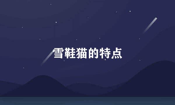 雪鞋猫的特点