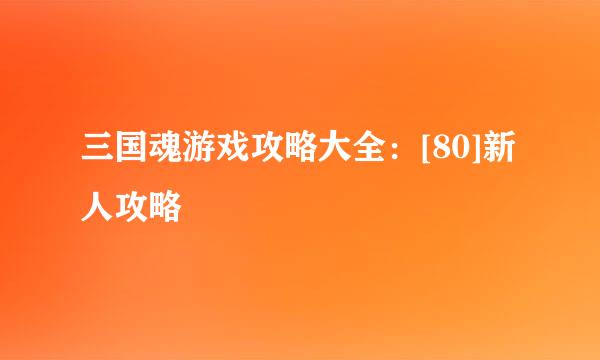 三国魂游戏攻略大全：[80]新人攻略