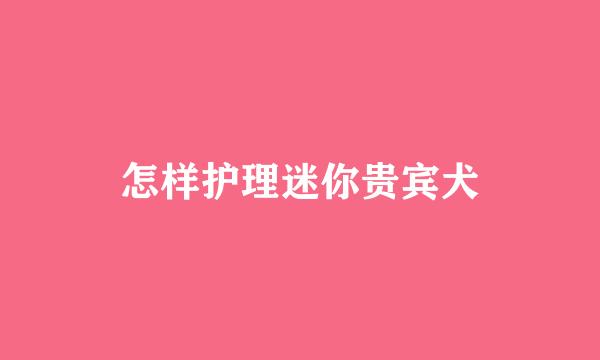 怎样护理迷你贵宾犬