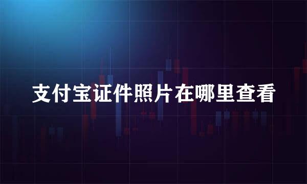 支付宝证件照片在哪里查看