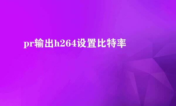 pr输出h264设置比特率