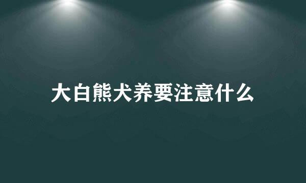 大白熊犬养要注意什么