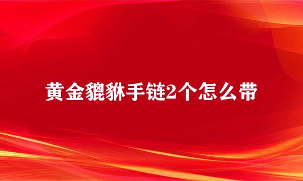 黄金貔貅手链2个怎么带