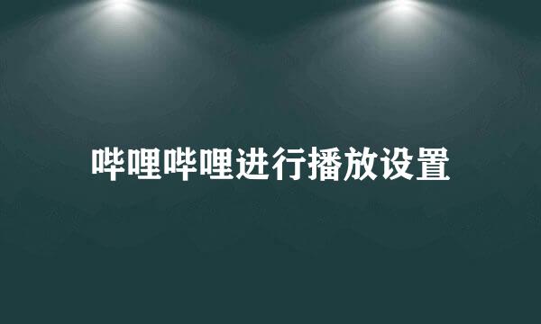 哔哩哔哩进行播放设置