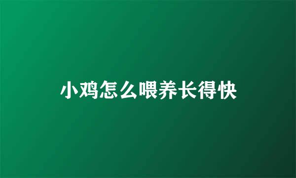 小鸡怎么喂养长得快