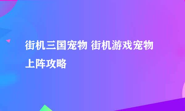 街机三国宠物 街机游戏宠物上阵攻略