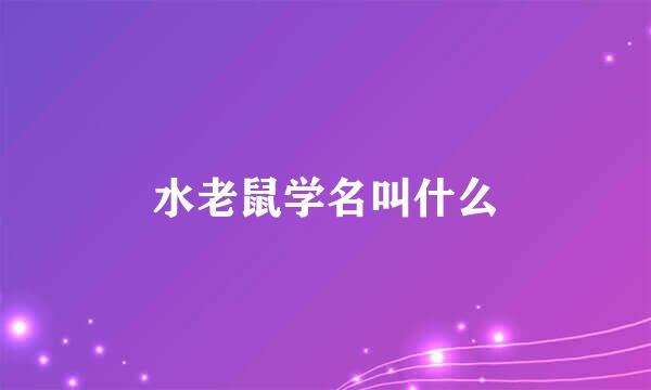 水老鼠学名叫什么