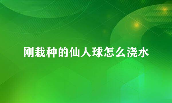 刚栽种的仙人球怎么浇水